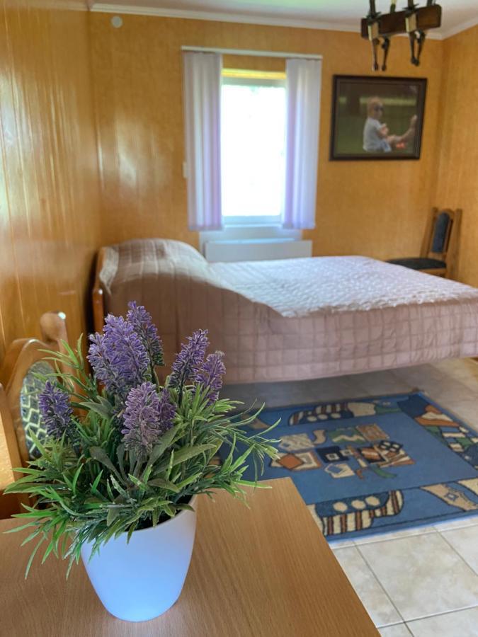 Constancia Hotel Kamianets-Podilskyi Ngoại thất bức ảnh